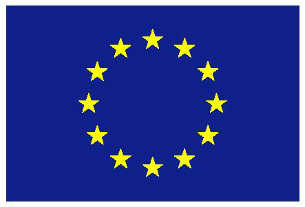 Official EU flag